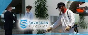 İstanbul Pire İlaçlama