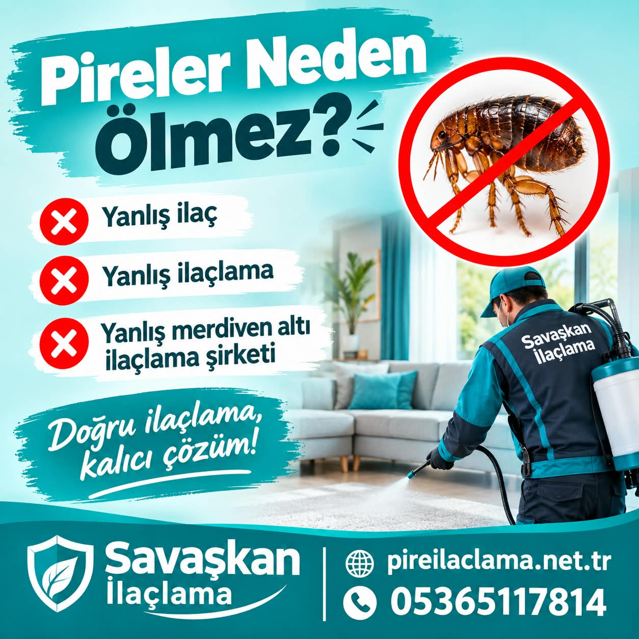Evi İlaçlattım Ama Hala Canlı Pire Var! Pireler Neden Ölmez?